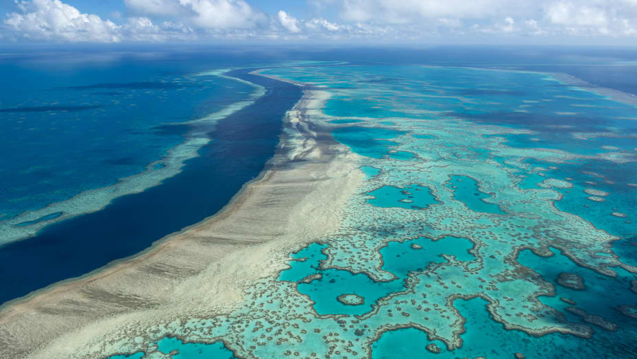 Great Barrier Reef Australia2